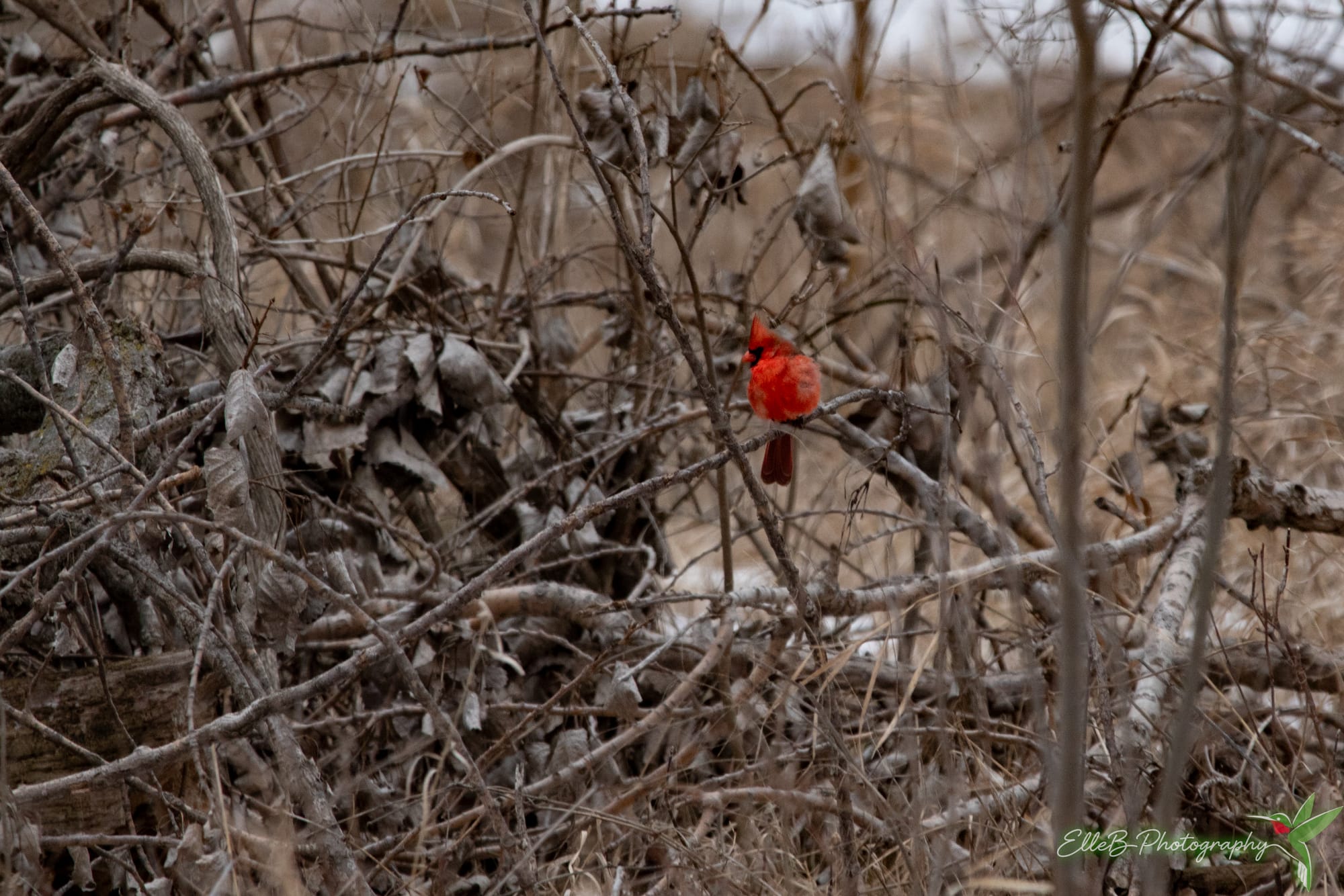 Hills Park January 3 '26